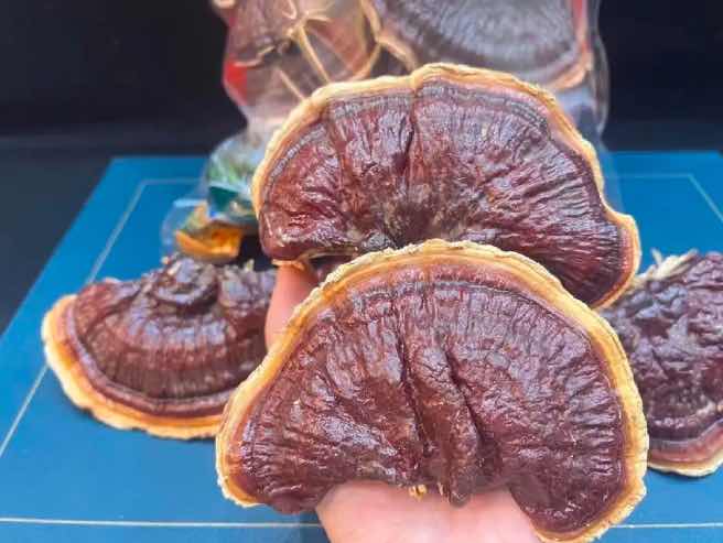 你以为炎症是免疫力的问题, 其实很多时候,是压力失控的结果。 你以为炎症是免疫力的问题, 其实很多时候,是压力失控的结果。