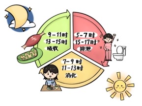 肠胃不适怎么办?日常调理用和胃整肠丸 肠胃不适怎么办?日常调理用和胃整肠丸