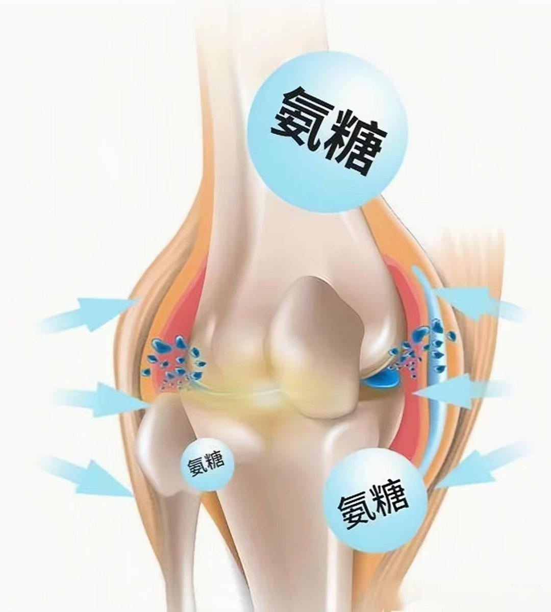 记者专访:大寒时节护关节 科学补充氨糖筑牢健康防线 记者专访:大寒时节护关节 科学补充氨糖筑牢健康防线