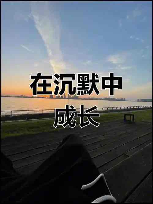 精英的沉默:社会智力暗夜中的失声灯塔 精英的沉默:社会智力暗夜中的失声灯塔