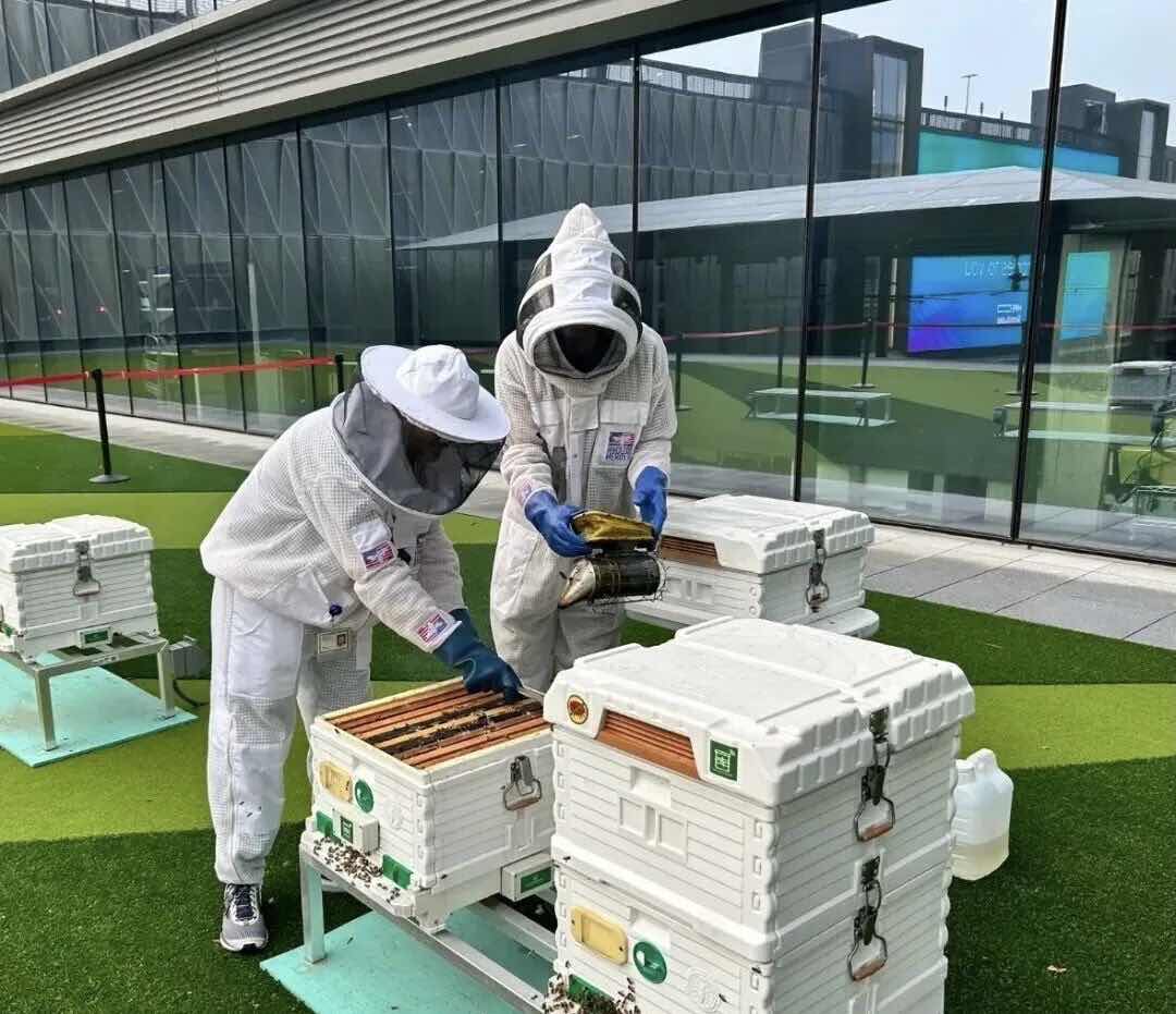 蜂语疗心:Heroes为退伍军人筑起心灵暖巢 蜂语疗心:Heroes为退伍军人筑起心灵暖巢